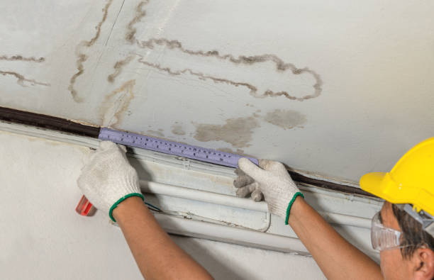 Reliable Burst Pipe Cleanup contractor in Englewood, CO by Water Damage Irwin